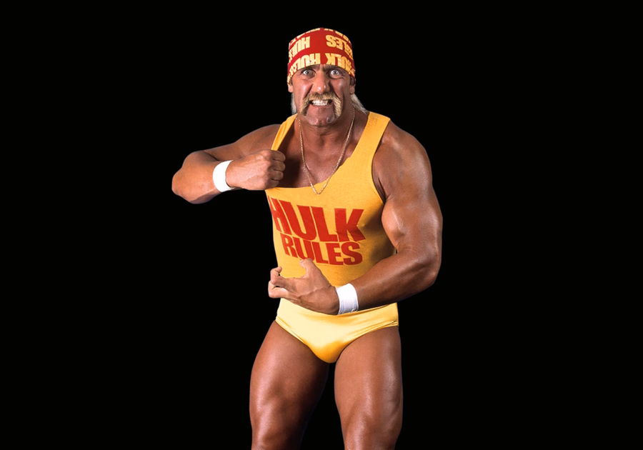 WWE® Hulk Hogan™